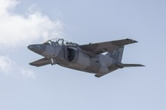 FMA IA-63 PAMPA III A-712 - FORÇA AÉREA ARGENTINA (CRUZEX 2024)