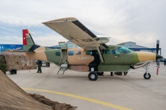 Cessna Grand Caravan