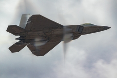 F-22 Raptor
