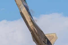 F-22 Raptor